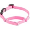 Frisco Solid Nylon Martingale Dog Collar With Buckle