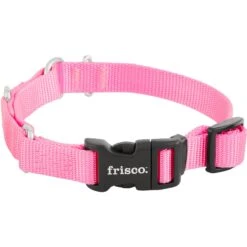 Frisco Solid Nylon Martingale Dog Collar With Buckle -Frisco Shop 139177 PT3. AC SS1800 V1620068872