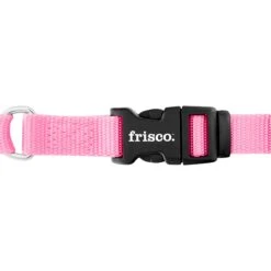 Frisco Solid Nylon Martingale Dog Collar With Buckle -Frisco Shop 139177 PT4. AC SS1800 V1620069770