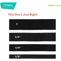 Frisco Solid Nylon Martingale Dog Collar With Buckle -Frisco Shop 139177 PT6. AC SS1800 V1628869305