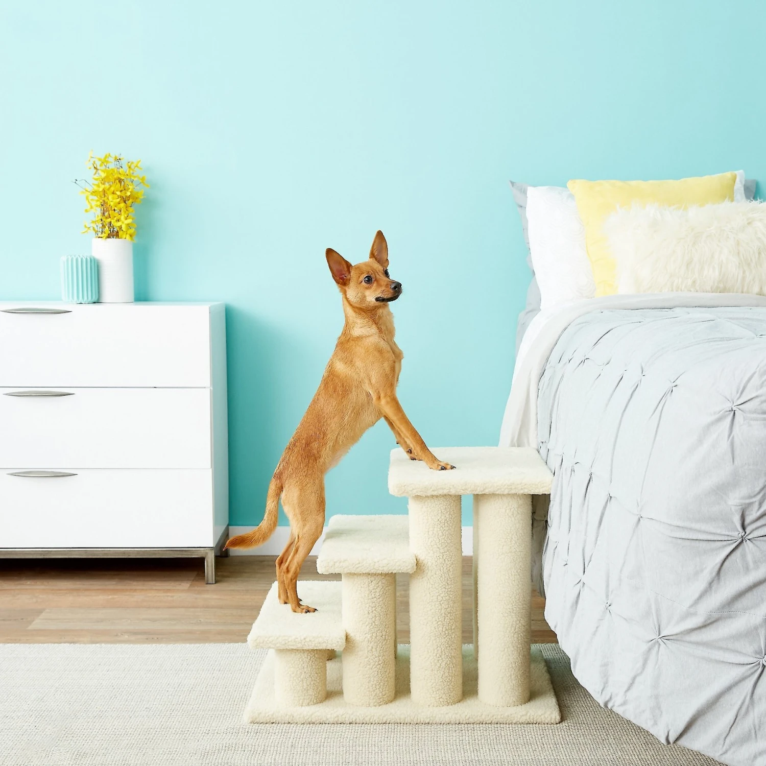 Frisco 18.5 Or 24.5 Inch 2-in-1 Cat & Dog Stairs 7 Frisco 18.5 Or 24.5 Inch 2-in-1 Cat & Dog Stairs - Image 7