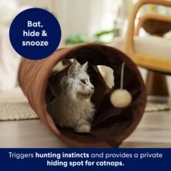 Frisco 47-in Foldable Crinkle Play Tunnel With 2 Windows -Frisco Shop 140168 PT3. AC SS1800 V1695241917