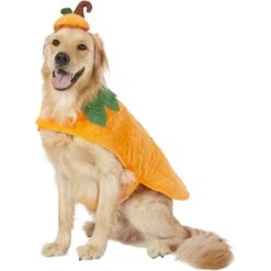 Frisco Pumpkin Dog & Cat Costume -Frisco Shop 144446 PT2. AC SS1800 V1567174700