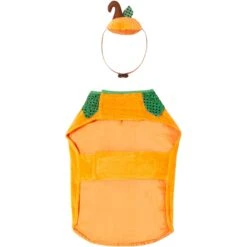 Frisco Pumpkin Dog & Cat Costume -Frisco Shop 144446 PT4. AC SS1800 V1567176587