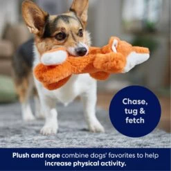 Frisco Fox Plush With Inside Rope Squeaky Dog Toy -Frisco Shop 147065 PT4. AC SS1800 V1695671059