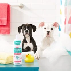 Frisco Hypoallergenic Puppy & Kitten Shampoo, Unscented 6 Frisco Hypoallergenic Puppy & Kitten Shampoo, Unscented -Frisco Shop 152571 PT2. AC SS1800 V1551302781