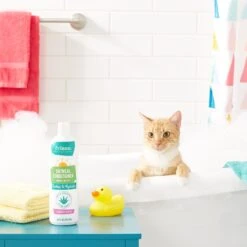 Frisco Oatmeal Conditioner With Aloe For Dogs & Cats, Almond Scent 7 Frisco Oatmeal Conditioner With Aloe For Dogs & Cats, Almond Scent -Frisco Shop 152579 PT3. AC SS1800 V1551302925