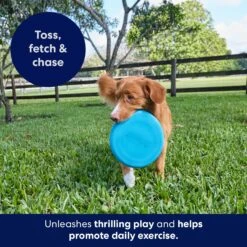 Frisco Fetch Rubber Flyer Dog Toy 6 Frisco Fetch Rubber Flyer Dog Toy -Frisco Shop 152848 PT5. AC SS1800 V1692370079