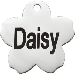Frisco Stainless Steel Personalized Dog & Cat ID Tag, Flower 9 Frisco Stainless Steel Personalized Dog & Cat ID Tag, Flower -Frisco Shop 153002 PT2. AC SS1800 V1548964685