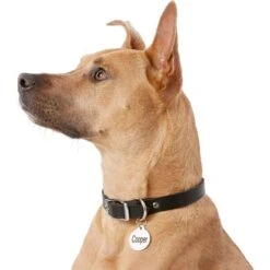 Frisco Personalized Dog & Cat Tag, Round 12 Frisco Personalized Dog & Cat Tag, Round -Frisco Shop 153015 PT5. AC SS1800 V1540562586
