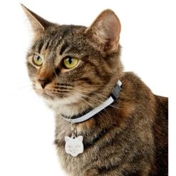 Frisco Stainless Steel Personalized Cat ID Tag, Cat -Frisco Shop 153043 PT5. AC SS1800 V1540560131