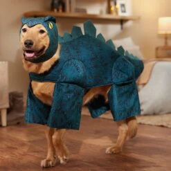 Frisco Stegosaurus Dinosaur Dog & Cat Costume -Frisco Shop 158777 PT7. AC SS1800 V1567180627