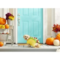 Frisco Taco Dog & Cat Costume -Frisco Shop 158826 PT3. AC SS1800 V1567175798