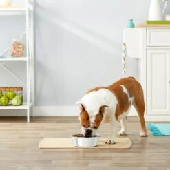 Frisco Stainless Steel Dog & Cat Bowl 6 Frisco Stainless Steel Dog & Cat Bowl -Frisco Shop 159867 PT3. AC SS1800 V1570543097