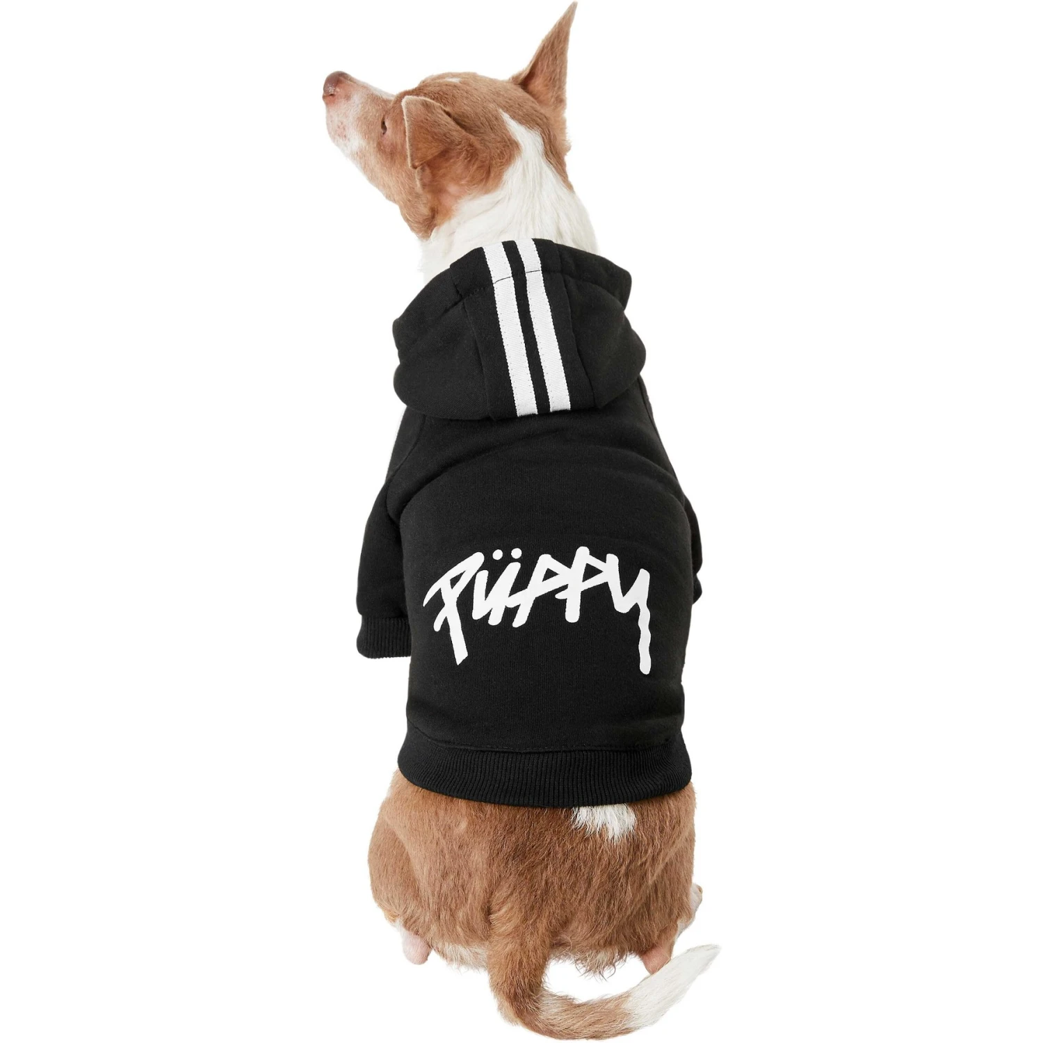 Frisco Püppy Dog Athletic Hoodie 3 Frisco Püppy Dog Athletic Hoodie - Image 3