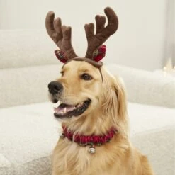 Frisco Holiday Antler Headband & Bell Collar Dog & Cat Costume -Frisco Shop 160658 PT4. AC SS1800 V1568818037