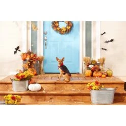 Frisco Vampire Cape Dog & Cat Costume -Frisco Shop 160793 PT3. AC SS1800 V1567176564