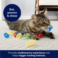 Frisco Colorful Springs Cat Toy 6 Frisco Colorful Springs Cat Toy -Frisco Shop 161807 PT2. AC SS1800 V1678723849