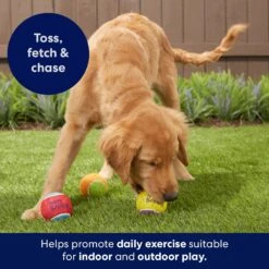 Frisco Birthday Fetch Squeaky Tennis Ball Dog Toy 11 Frisco Birthday Fetch Squeaky Tennis Ball Dog Toy -Frisco Shop 162914 PT5. AC SS1800 V1692020098