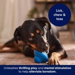 Frisco Flying Saucer Rubber Treat Dispenser Dog Toy -Frisco Shop 164757 PT5. AC SS1800 V1691784247