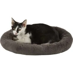 Frisco Self Warming Bolster Round Kitten Bed -Frisco Shop 165315 PT2. AC SS1800 V1568211141