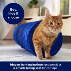 Frisco Foldable Play Tunnel With Mesh Cat Toy 6 Frisco Foldable Play Tunnel With Mesh Cat Toy -Frisco Shop 166385 PT2. AC SS1800 V1686580143