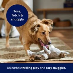 Frisco Bunny Textured Plush Squeaky Dog Toy -Frisco Shop 174693 PT4. AC SS1800 V1695671088