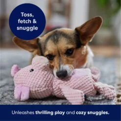 Frisco Pig Textured Plush Squeaky Dog Toy 10 Frisco Pig Textured Plush Squeaky Dog Toy -Frisco Shop 174695 PT4. AC SS1800 V1695670689