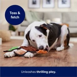 Frisco Mallard Stuffing-Free Flat Plush Squeaky Dog Toy 10 Frisco Mallard Stuffing-Free Flat Plush Squeaky Dog Toy -Frisco Shop 174731 PT5. AC SS1800 V1686579082