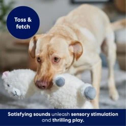 Frisco Llama Bobberz Plush Squeaky Dog Toy 10 Frisco Llama Bobberz Plush Squeaky Dog Toy -Frisco Shop 174741 PT4. AC SS1800 V1695671063