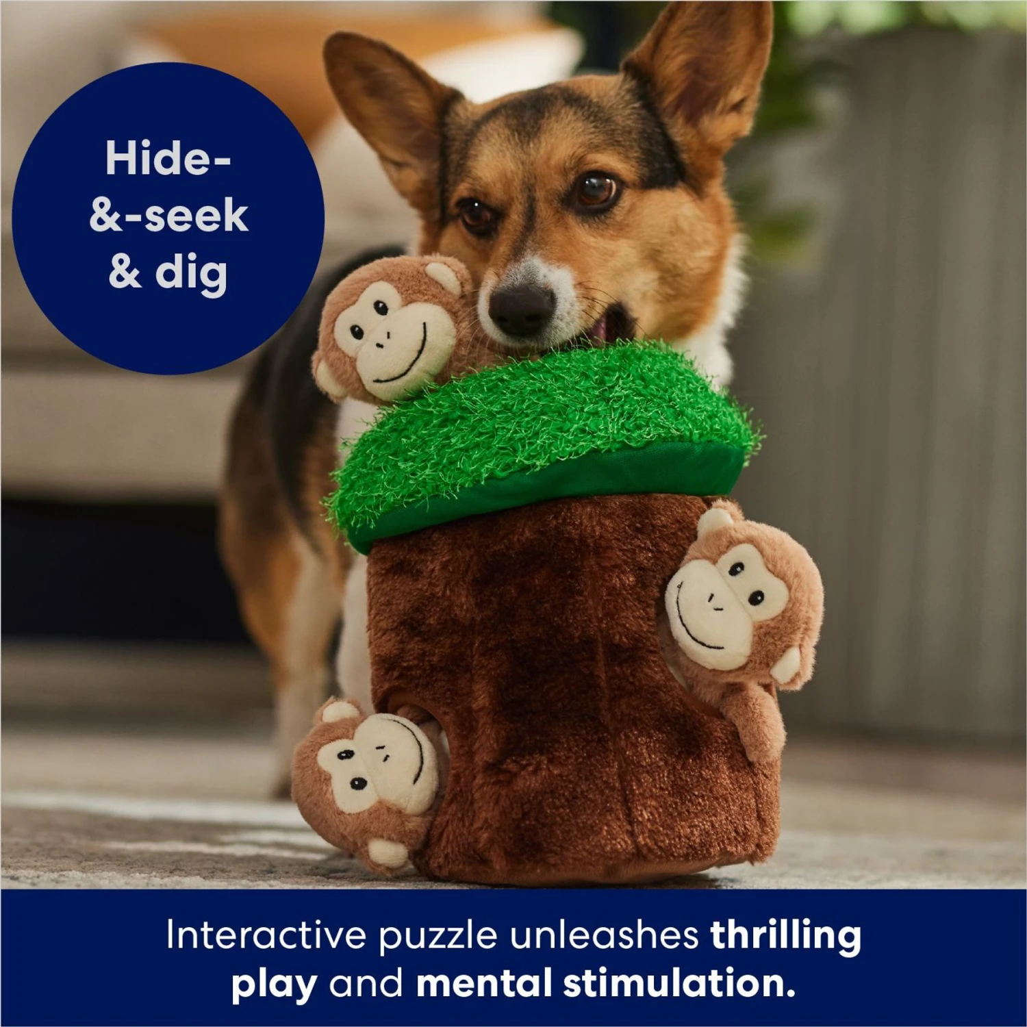Frisco Monkeys In Tree Hide & Seek Puzzle Plush Squeaky Dog Toy 6 Frisco Monkeys In Tree Hide & Seek Puzzle Plush Squeaky Dog Toy - Image 6