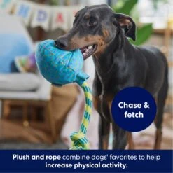 Frisco Birthday Balloon Plush With Rope Squeaky Dog Toy 8 Frisco Birthday Balloon Plush With Rope Squeaky Dog Toy -Frisco Shop 177807 PT3. AC SS1800 V1695241973