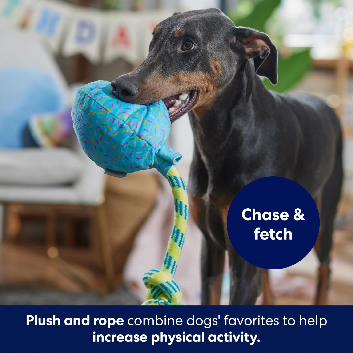 Frisco Birthday Balloon Plush With Rope Squeaky Dog Toy 4 Frisco Birthday Balloon Plush With Rope Squeaky Dog Toy - Image 4