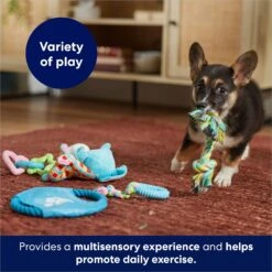 Frisco Little Friends Plush, Flyer & TPR Variety Pack Dog Toy -Frisco Shop 177816 PT5. AC SS1800 V1691783909