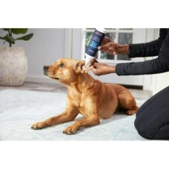 Frisco Anti-Bacterial And Anti-Fungal Ear Flush Cleaner For Cats & Dogs, 12-oz Bottle 8 Frisco Anti-Bacterial And Anti-Fungal Ear Flush Cleaner For Cats & Dogs, 12-oz Bottle -Frisco Shop 178705 PT3. AC SS1800 V1582124328