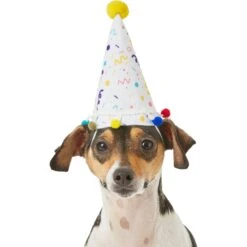 Frisco Confetti Dog & Cat Birthday Hat