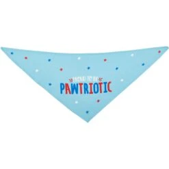 Frisco Pawtriot Dog & Cat Bandana -Frisco Shop 191277 PT3. AC SS1800 V1584623776