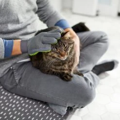 Frisco Dog & Cat Grooming Glove, Right Hand -Frisco Shop 206845 PT6. AC SS1800 V1610762805