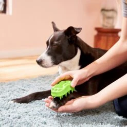 Frisco Bone Dog Curry Brush -Frisco Shop 206851 PT4. AC SS1800 V1680186155