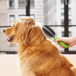 Frisco Cat & Dog Pin Bristle Brush 10 Frisco Cat & Dog Pin Bristle Brush -Frisco Shop 206855 PT6. AC SS1800 V1680186157