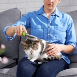 Frisco Cat & Dog Pin Brush 10 Frisco Cat & Dog Pin Brush -Frisco Shop 206861 PT7. AC SS1800 V1680186386