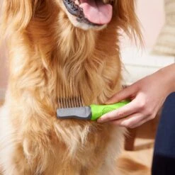 Frisco Dematting Dog Rake, One Size 8 Frisco Dematting Dog Rake, One Size -Frisco Shop 206873 PT6. AC SS1800 V1680186104