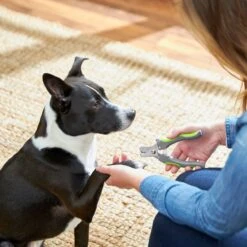 Frisco Dog Nail Trimmer -Frisco Shop 206877 PT4. AC SS1800 V1680186157