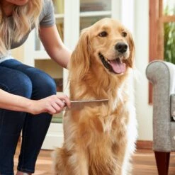 Frisco Metal Dog & Cat Comb -Frisco Shop 206882 PT6. AC SS1800 V1680186160