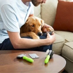 Frisco Beginner Grooming Kit For Dogs And Cats -Frisco Shop 206909 PT7. AC SS1800 V1680186156