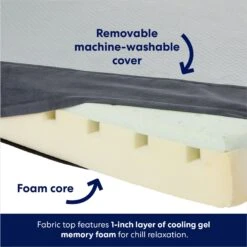 Frisco Cooling Orthopedic Pillow Dog Bed W/Removable Cover -Frisco Shop 210223 PT3. AC SS1800 V1700243663