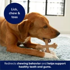 Frisco Peanut Butter Flavor Tough Nylon Dog Chew Toy -Frisco Shop 213436 PT5. AC SS1800 V1692019972