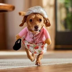 Frisco Front Walking Granny Dog & Cat Costume -Frisco Shop 215577 PT8. AC SS1800 V1689621333