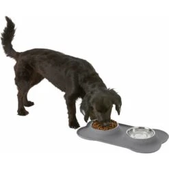 Frisco Silicone Stainless Steel Double Diner Dog & Cat Bowl 12 Frisco Silicone Stainless Steel Double Diner Dog & Cat Bowl -Frisco Shop 215990 PT5. AC SS1800 V1605662218