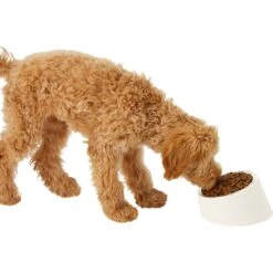 Frisco Slanted Stainless Steel Bowl -Frisco Shop 216028 PT6. AC SS1800 V1605666119